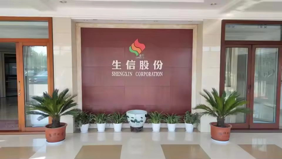 중국 ANHUI SHENGXIN  CORPORATION LIMITED 회사 프로필